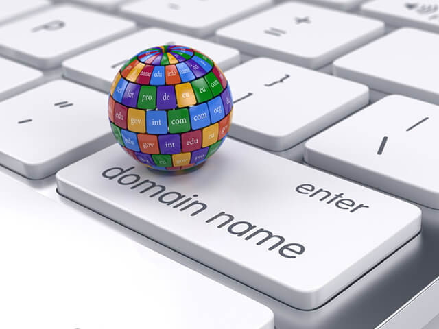 Non- Fungible Token Decentralized Domain Name Services